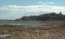 L'�tang de Bages