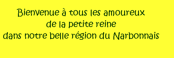 Bienvenue � tous les amoureux de la petite reine 
dans notre belle r�gion du Narbonnais